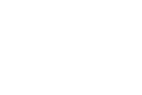 Logo_PortofAntwerpBruges