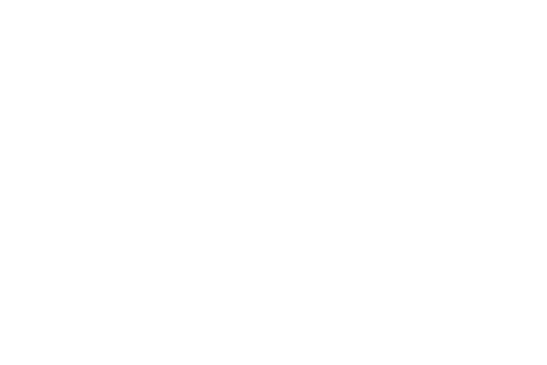 Basketbal_Vlaanderen_Logo